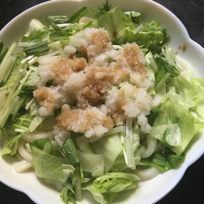 水菜、レタス、おろしうどん